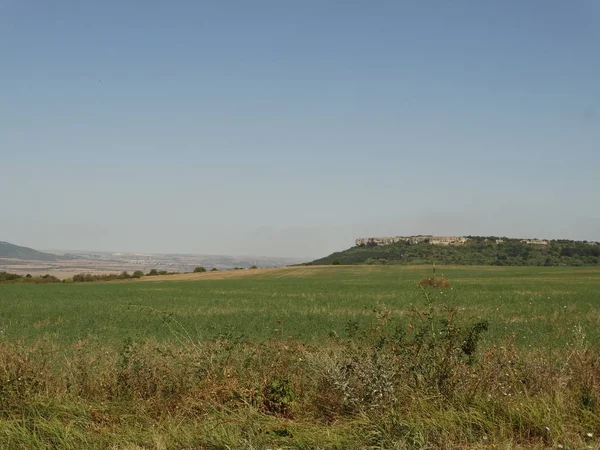 Plato ve yeşil alanlar