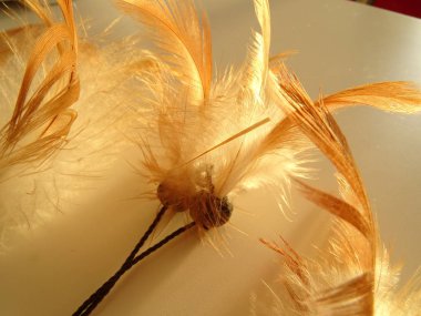 Bir düş kapanı görünümünü kapat