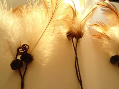 Bir düş kapanı görünümünü kapat