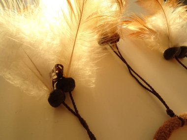 Bir düş kapanı görünümünü kapat