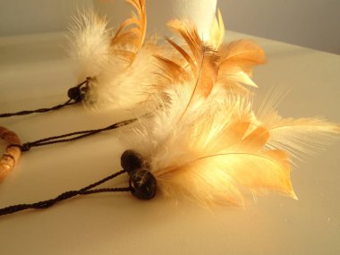 Bir düş kapanı görünümünü kapat