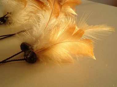 Bir düş kapanı görünümünü kapat