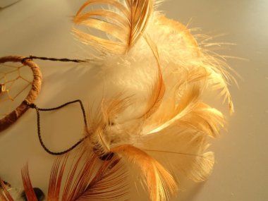 Bir düş kapanı görünümünü kapat