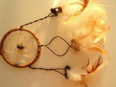 Bir düş kapanı görünümünü kapat