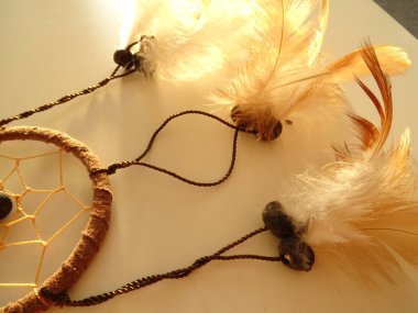 Bir düş kapanı görünümünü kapat