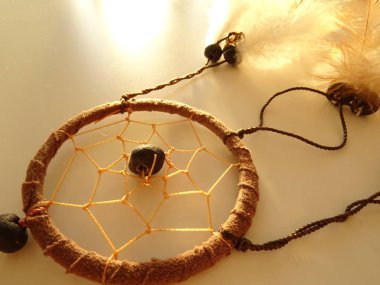 Bir düş kapanı görünümünü kapat