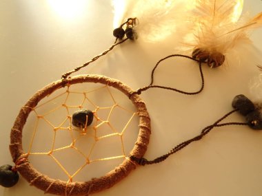 Bir düş kapanı görünümünü kapat