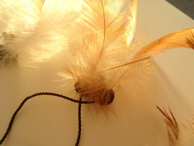 Bir düş kapanı görünümünü kapat