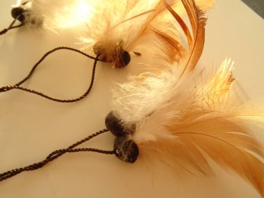 Bir düş kapanı görünümünü kapat