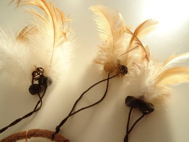 Bir düş kapanı görünümünü kapat