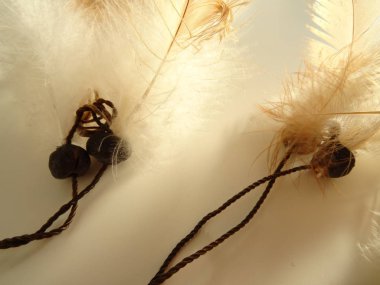 Bir düş kapanı görünümünü kapat