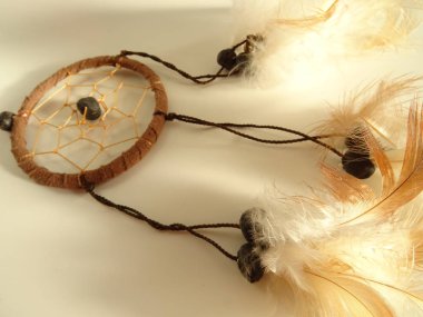 Bir düş kapanı görünümünü kapat