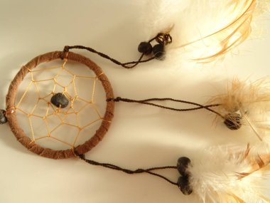 Bir düş kapanı görünümünü kapat