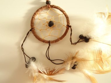 Bir düş kapanı görünümünü kapat