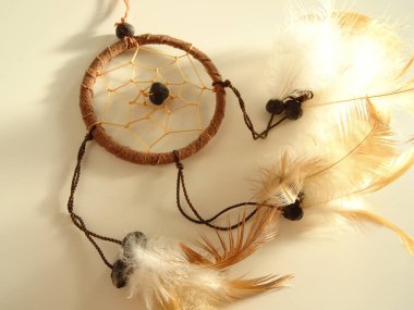 Bir düş kapanı görünümünü kapat