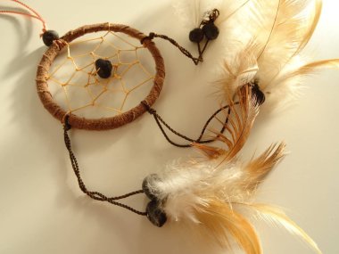 Bir düş kapanı görünümünü kapat