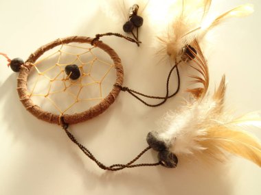 Bir düş kapanı görünümünü kapat