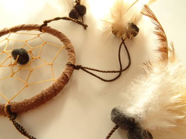 Bir düş kapanı görünümünü kapat