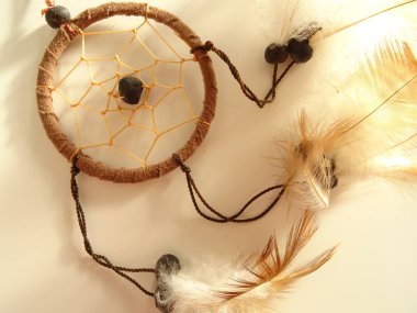 Bir düş kapanı görünümünü kapat