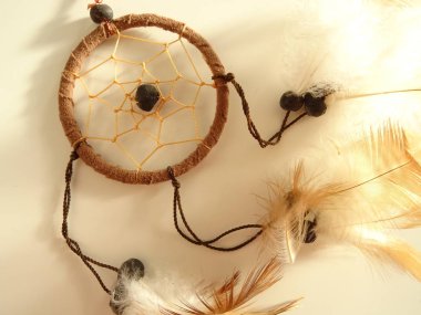 Bir düş kapanı görünümünü kapat