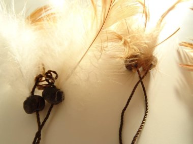 Bir düş kapanı görünümünü kapat