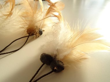 Bir düş kapanı görünümünü kapat