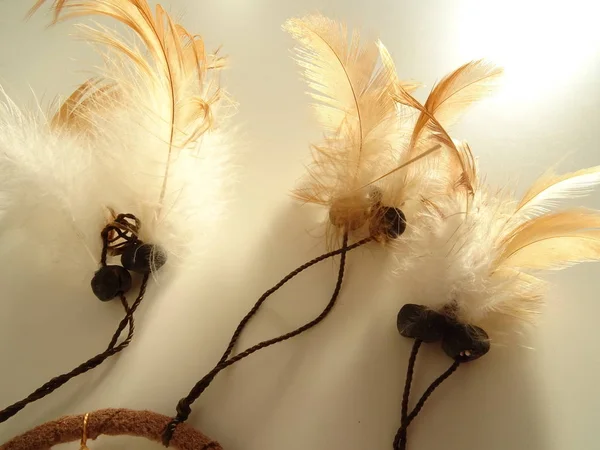 Bir düş kapanı görünümünü kapat