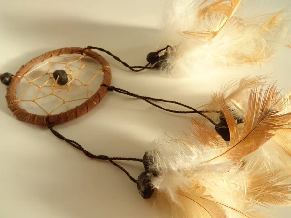 Bir düş kapanı görünümünü kapat