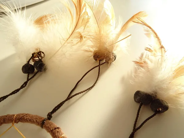 Bir düş kapanı görünümünü kapat