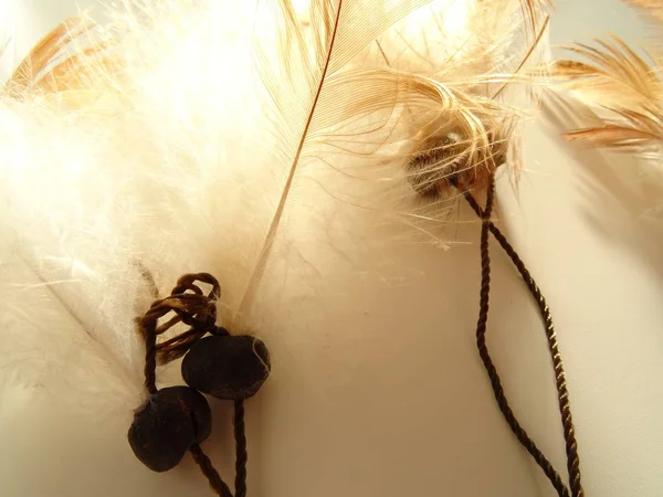 Bir düş kapanı görünümünü kapat