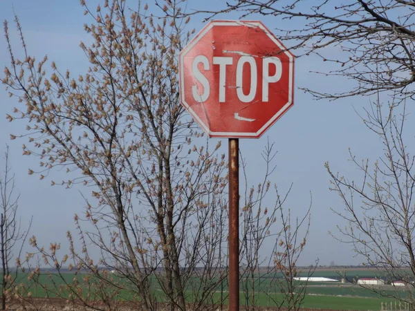 view of Stop Street Sign