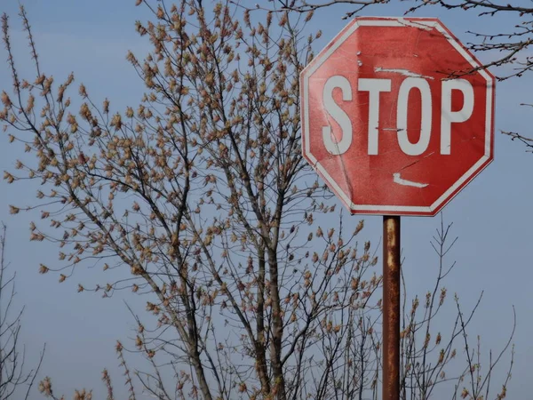 Вид Знак Stop Street — стоковое фото