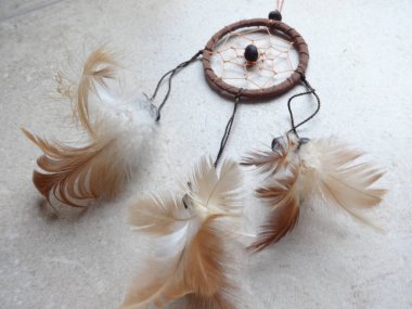 Bir düş kapanı görünümünü kapat