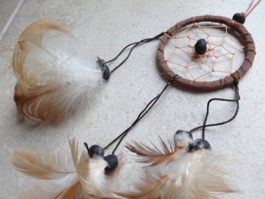 Bir düş kapanı görünümünü kapat