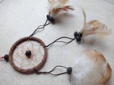 Bir düş kapanı görünümünü kapat