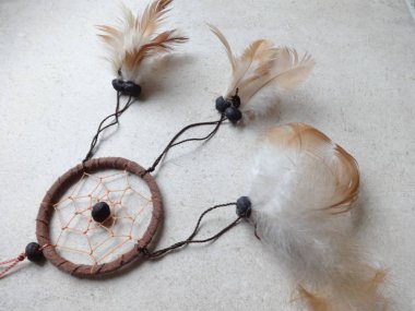 Bir düş kapanı görünümünü kapat