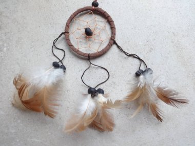 Bir düş kapanı görünümünü kapat