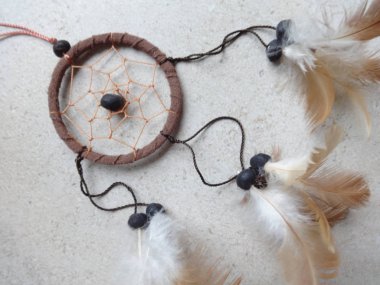 Bir düş kapanı görünümünü kapat