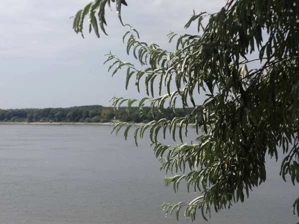 View Danube River — Stock Photo, Image