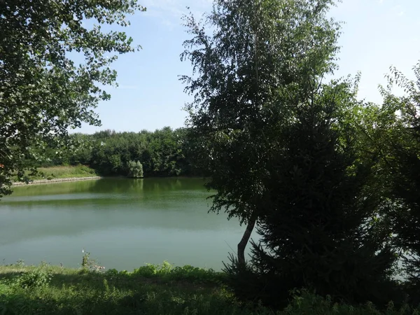 View Small Lake — Stock Photo, Image