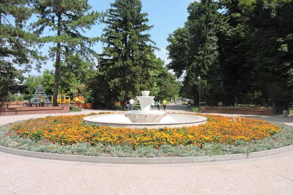 Jardín Del Danubio Silistra Bulgaria — Foto de Stock