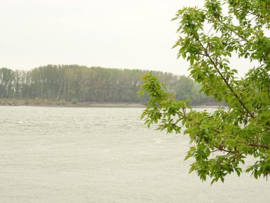 Tuna Nehri görünümünü