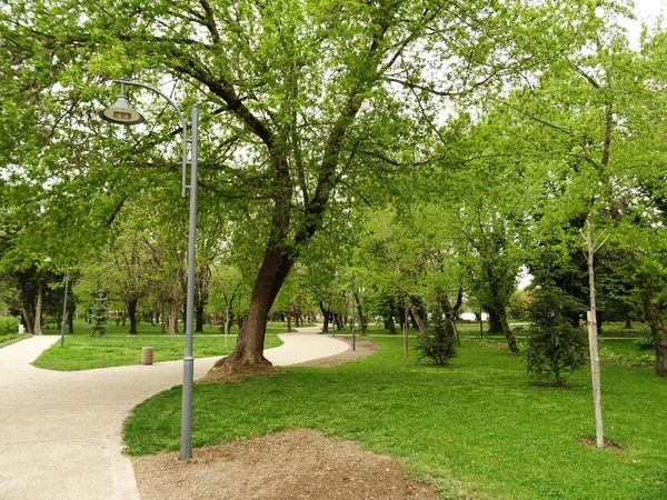 空荡荡的绿色城市公园 — 图库照片