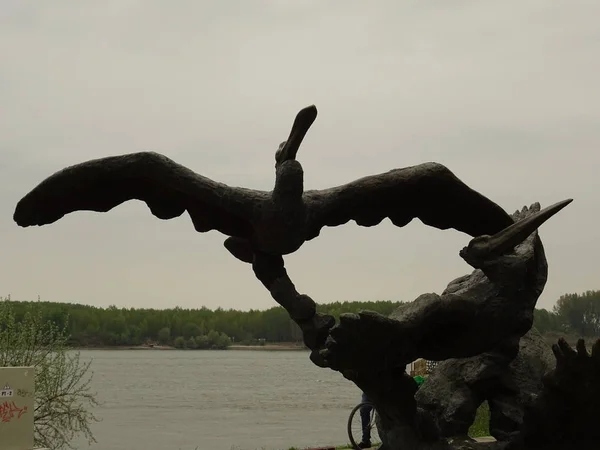 Estátua Pássaros Costa Rio Danúbio Silistra Bulgariua — Fotografia de Stock