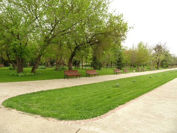 空荡荡的绿色城市公园 — 图库照片