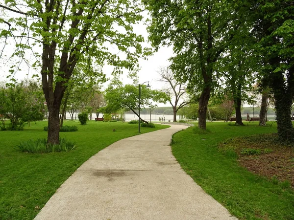 绿色城市公园的路径 — 图库照片