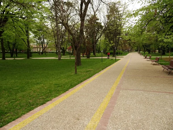 Path in a Green City Park
