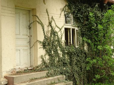 Eski bir evin girişi