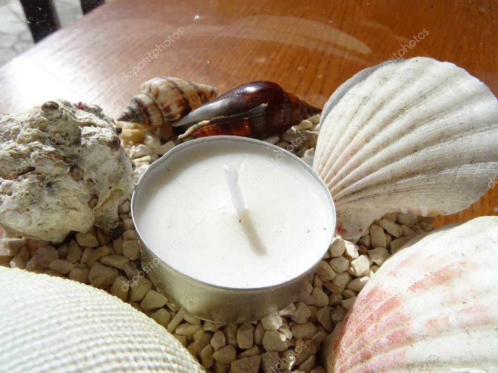 Tealight Candle Among Seashell Decorations