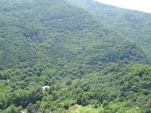 Gyönyörű Kilátás Green Mountain Napsütésben — Stock Fotó